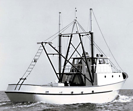 74T.jpg